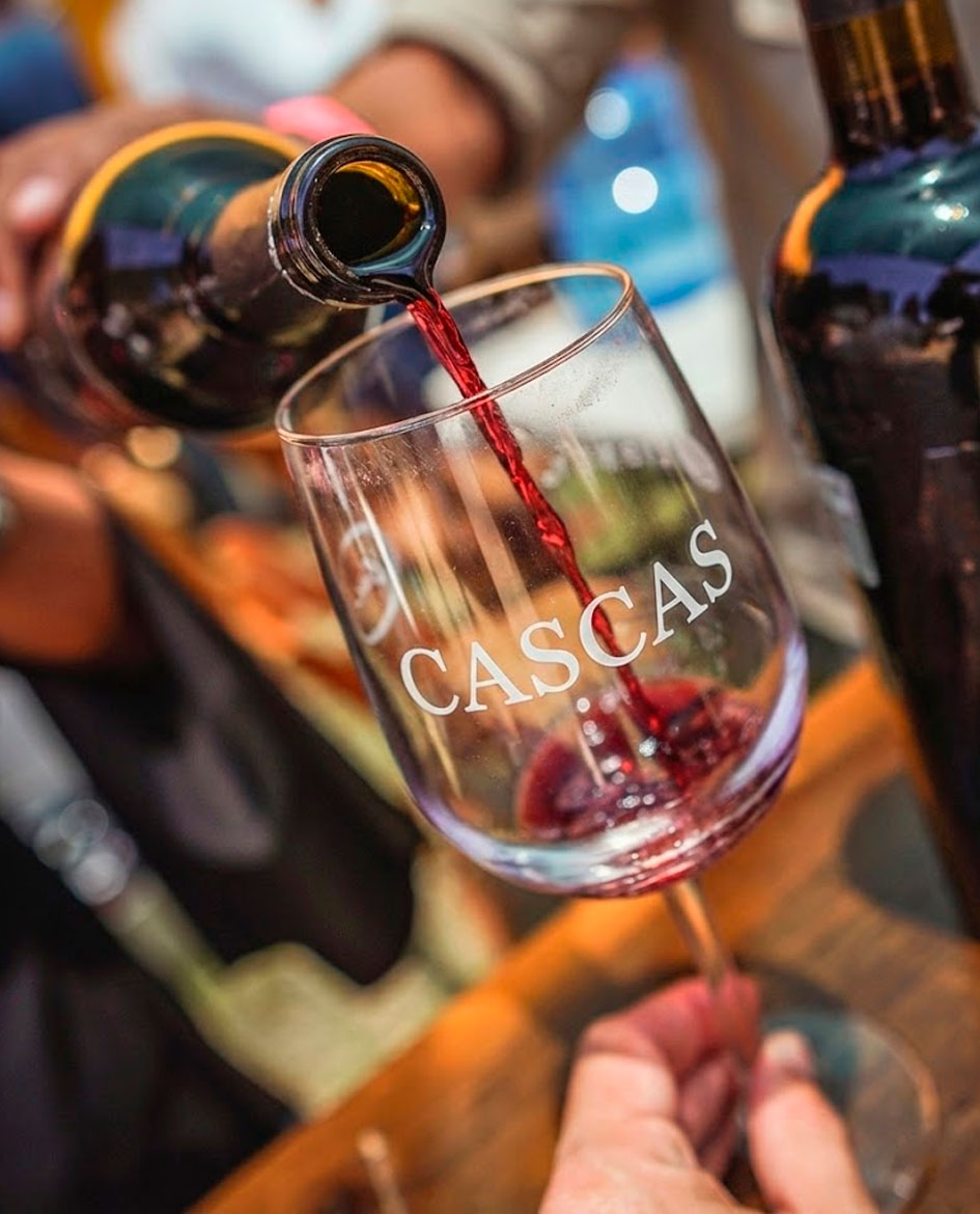 copa de vino cascas